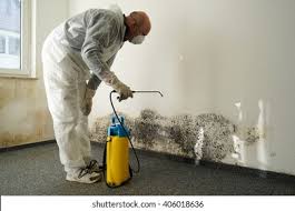 Sacaton, AZ Mold Remediation Company